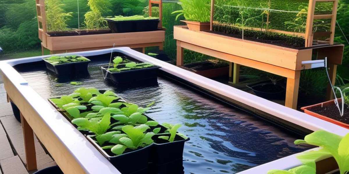 What is aquaponics?