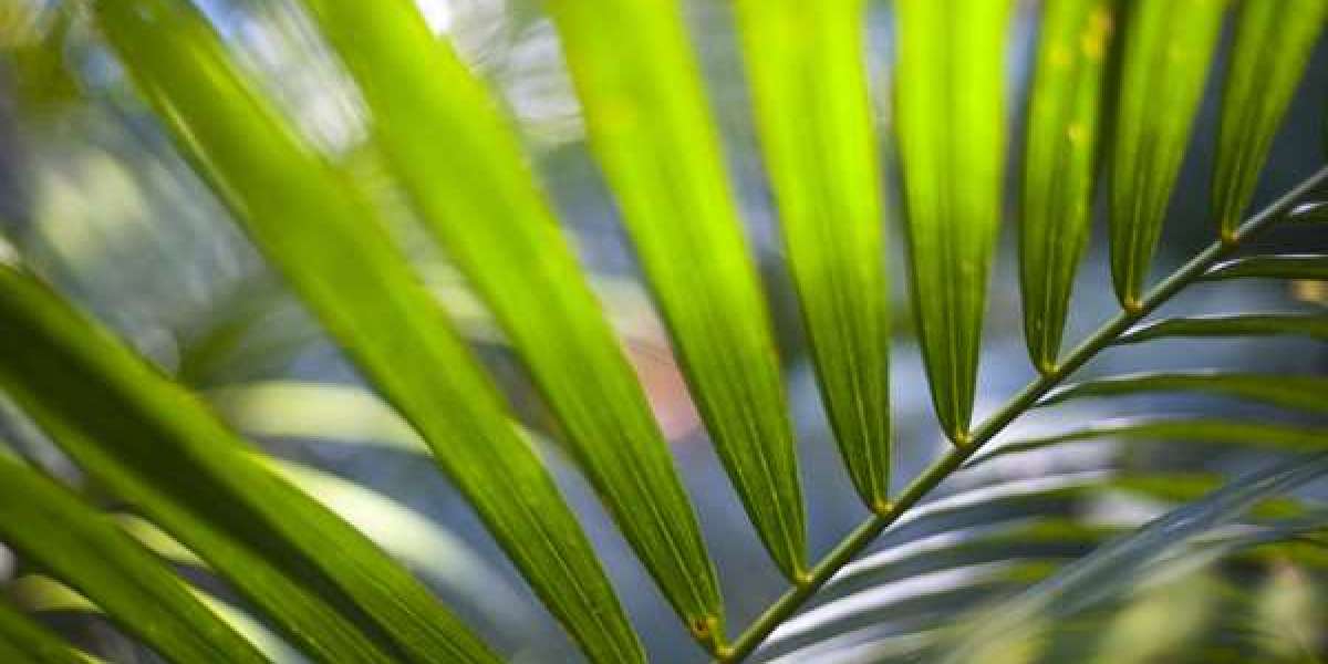 Claim a 100% Welcome Bonus up to AU$750