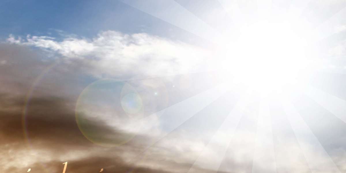 Herbal Treatment for Erectile Dysfunction: An Summary of Efficacy And Mechanisms