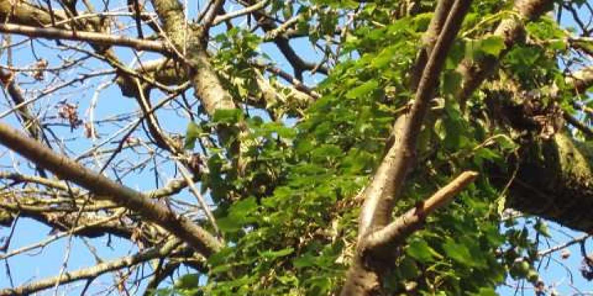 2025's Top Online Slots Casinos to Play for Real Money