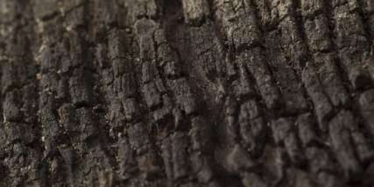 Treasury Brisbane Queensland, Australia