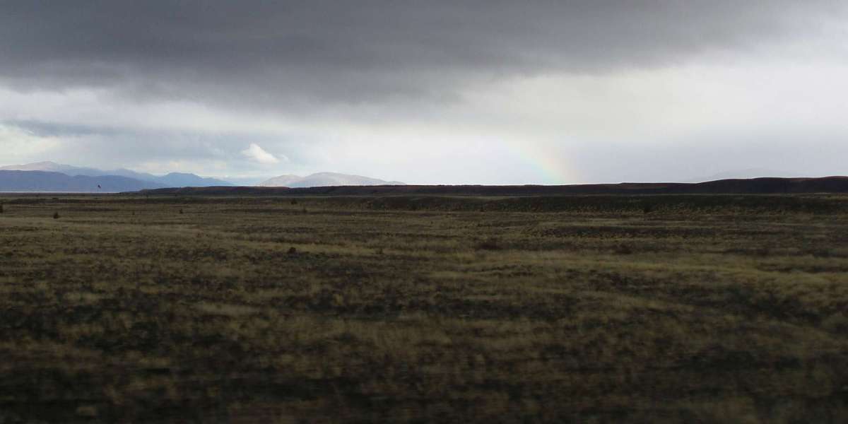 Zoome Casino: Canadas trusted online gaming destination