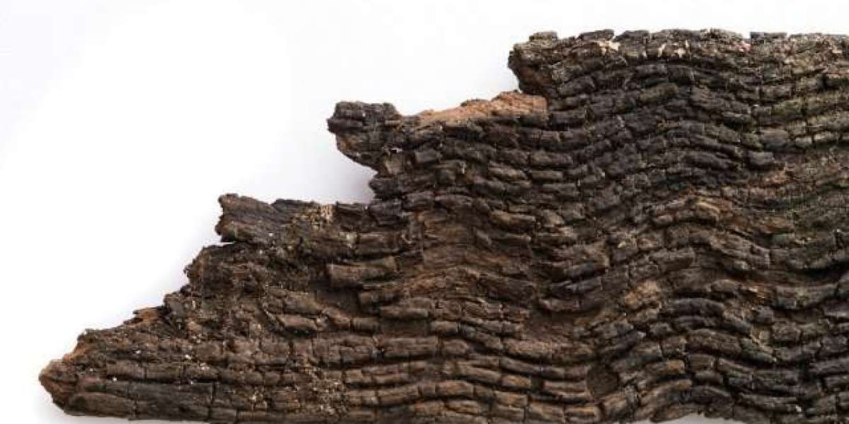 Woo Casino 9 Login Australia Online Casino VIP Bonuses