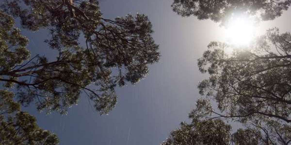 7Bit Casino Review 2025