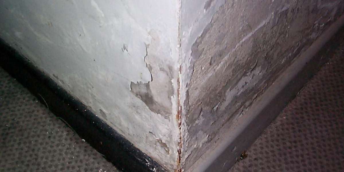 Best Online Casinos in the US: Top Casino Sites for Real Money