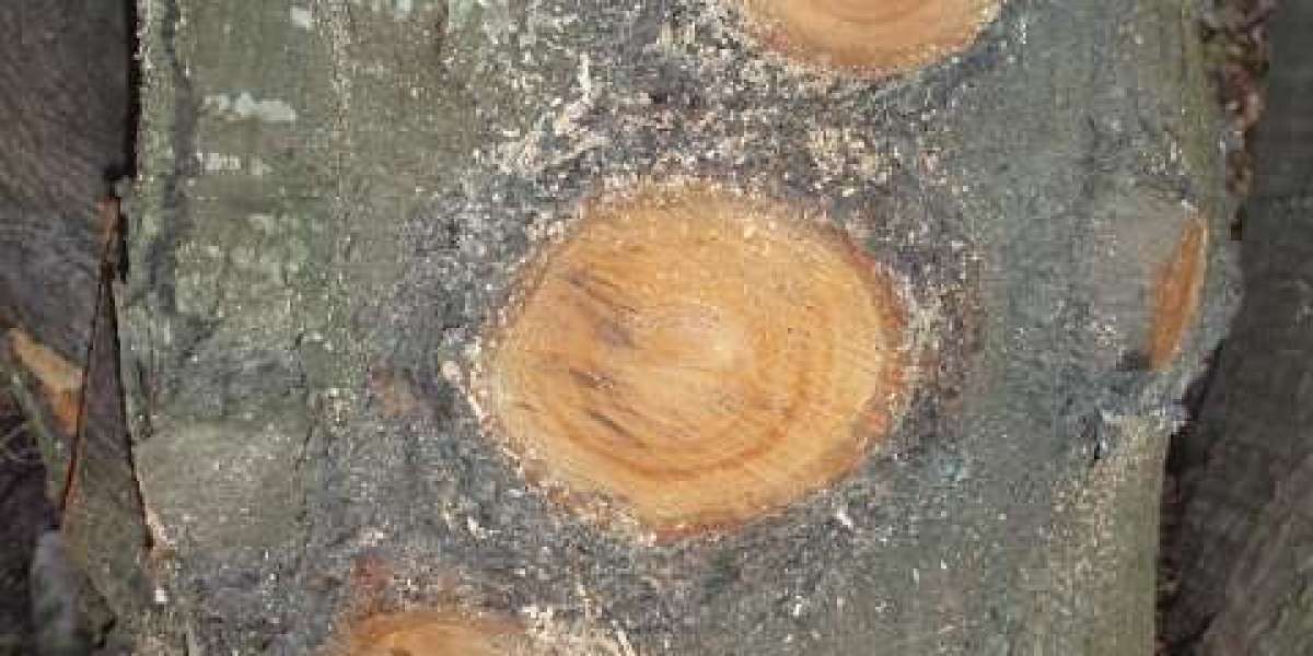 Online Pokies, Mobile Play & Fast AU$ Withdrawals